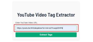 YouTube Video Tag Extractor
